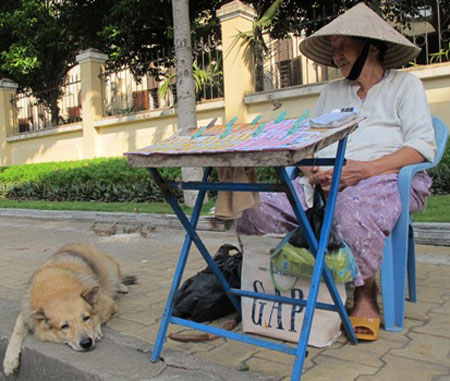 Chuyện bà cụ bán vé số cùng chú chó và đàn chim sẻ