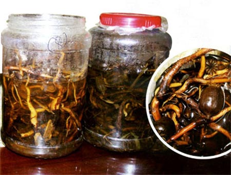 “Biệt dược phòng the” khuynh đảo dân chơi Hà thành