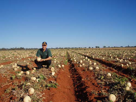 Ông tiến sĩ bỏ xe hơi, nhà lầu vì rau quả Việt