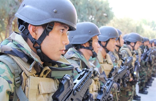 Hình ảnh đầu tiên về dàn súng của Hải quân đánh bộ Việt Nam