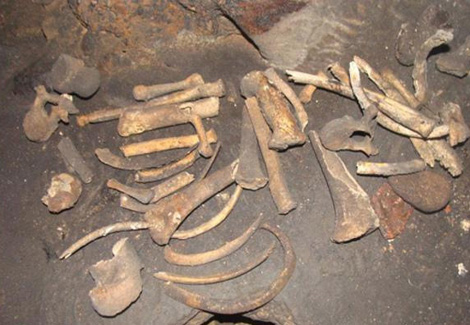 Sự sống kỳ bí quanh những ngôi mộ tập thể ở VN