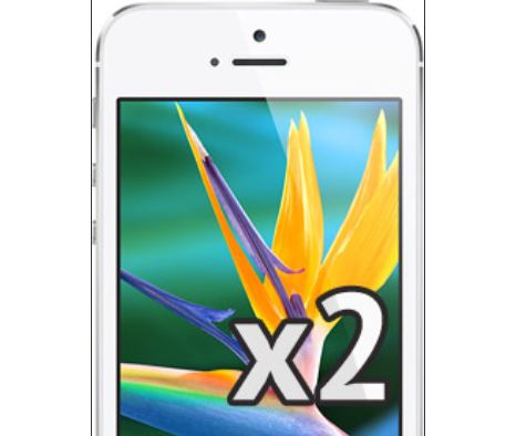 iPhone 5S và 6 có màn hình chất lượng gấp đôi?