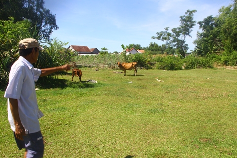 Quảng Nam: Ly kỳ chuyện đào vườn được tượng vàng vô giá