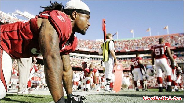 Sao bóng bầu dục khoe thú vui nuôi hổ