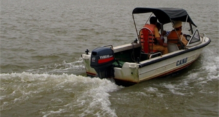 Không ai nhận trách nhiệm vụ thẩm mỹ Cát Tường