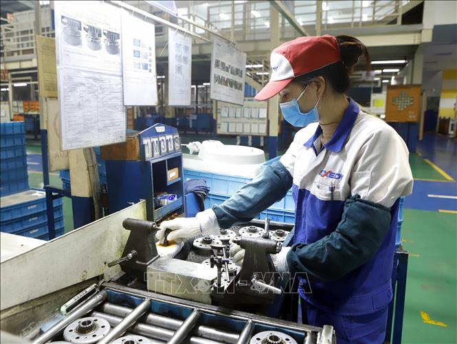Chuyên gia kinh tế Nga đánh giá tích cực về nền kinh tế Việt Nam