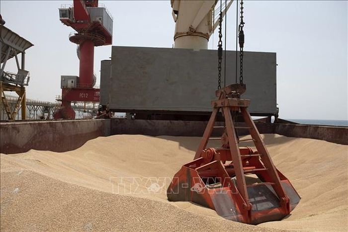 LHQ đề xuất giải pháp khôi phục Sáng kiến Ngũ cốc Biển Đen