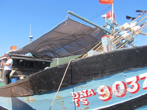 Hàng trăm tàu cá Trung Quốc bu vào phá lưới ngư dân Việt