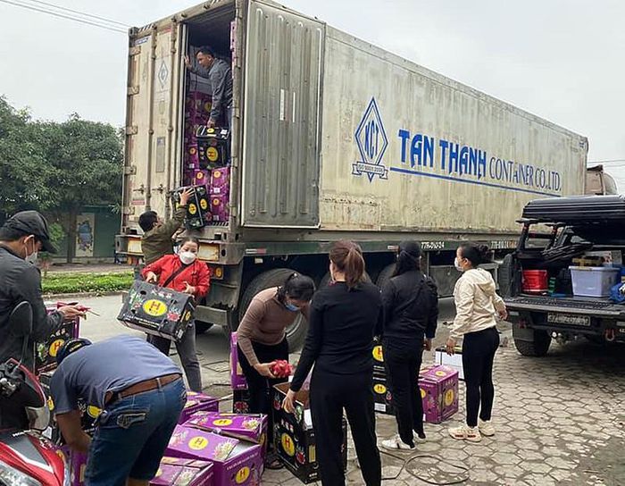Thanh long ''quay đầu'': Nông dân, thương lái, nhà xe... mất Tết!