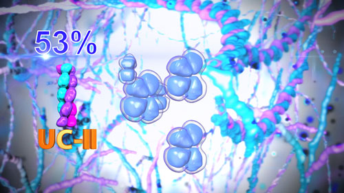 Thoái hóa khớp được điều trị từ gốc - thành tựu của ngành sinh học phân tử