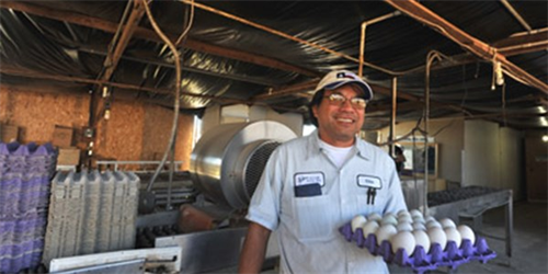 Triệu phú Hột vịt lộn Long An trên đất Mỹ