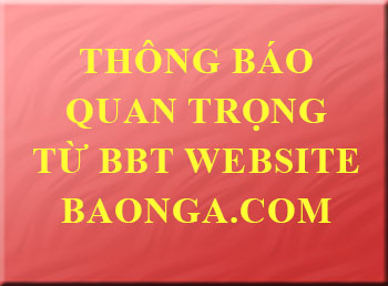 Thông báo của Ban biên tập Baonga.com