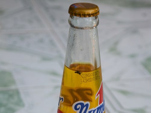 Thêm một chai Number 1 có vật lạ giống ruồi