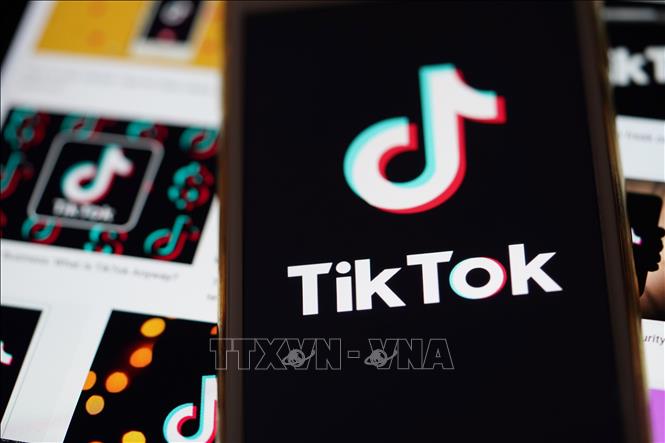 TikTok thông báo chiến dịch gỡ hàng triệu tài khoản