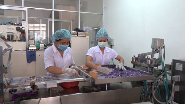 Triệt phá bốn cơ sở sản xuất thuốc, thực phẩm chức năng giả quy mô lớn