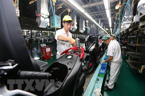 Fitch Solutions: Kinh tế Việt Nam tăng trưởng cao nhất trong 11 năm