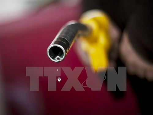 Giá dầu châu Á đứng vững sau khi Trung Quốc cắt giảm lãi suất