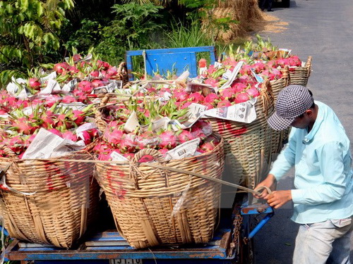 Hàng nông, thủy sản Việt Nam đã có những đối thủ cạnh tranh