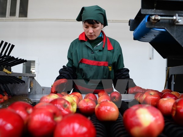 Nga tuyên bố duy trì lệnh cấm nhập thực phẩm của Phương Tây