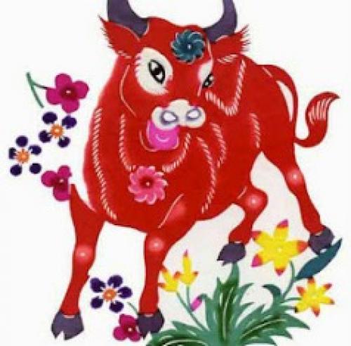 Tử vi tuổi Sửu năm Quý Tỵ