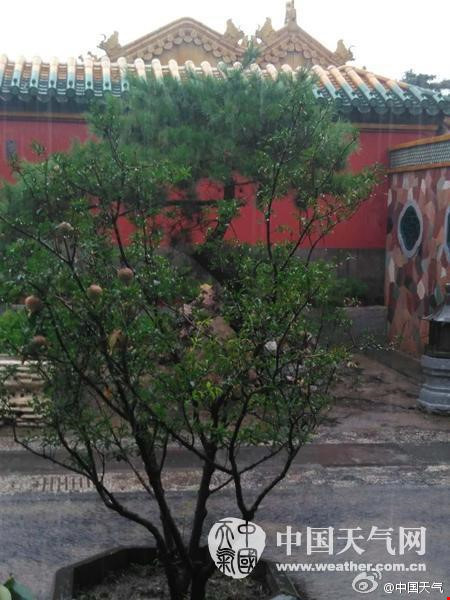 Tử Cấm Thành thoát lũ nhờ hệ thống 600 tuổi 'vẫn chạy tốt'