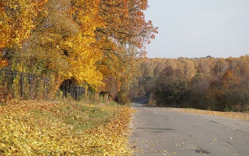 Thăm Tula, quê hương Đại văn hào Lev Tolstoy