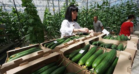 Nước Nga lại dẫn đầu thế giới về thực phẩm hữu cơ