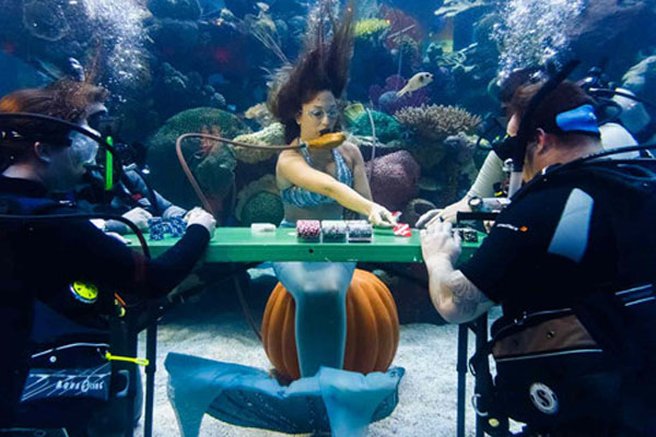 Casino ở Mỹ cho phép du khách đánh bài với nàng tiên cá