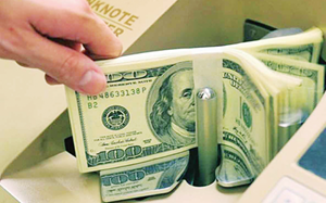Môi trường kinh doanh kém, vì sao FDI vào Việt Nam vẫn cao?