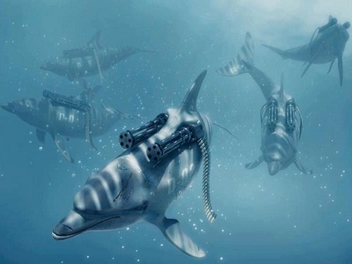 Nga tìm mua 5 cá heo để thực hiện nhiệm vụ đặc biệt tại biển Đen