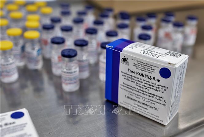 Algeria lên kế hoạch tiêm vaccine Sputnik V vào đầu năm 2021
