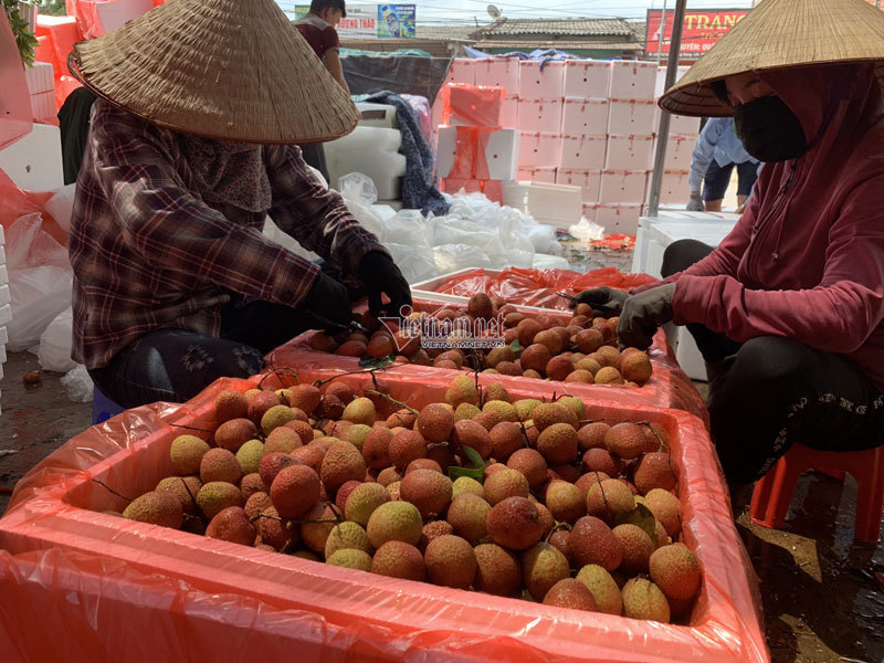 Mở lối riêng, Trung Quốc chuyển tiền chốt 3 vạn tấn hàng đặc sản