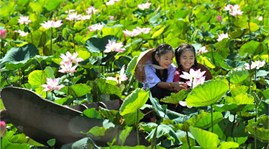 Có người ra ngoài không nhận mình là người Việt