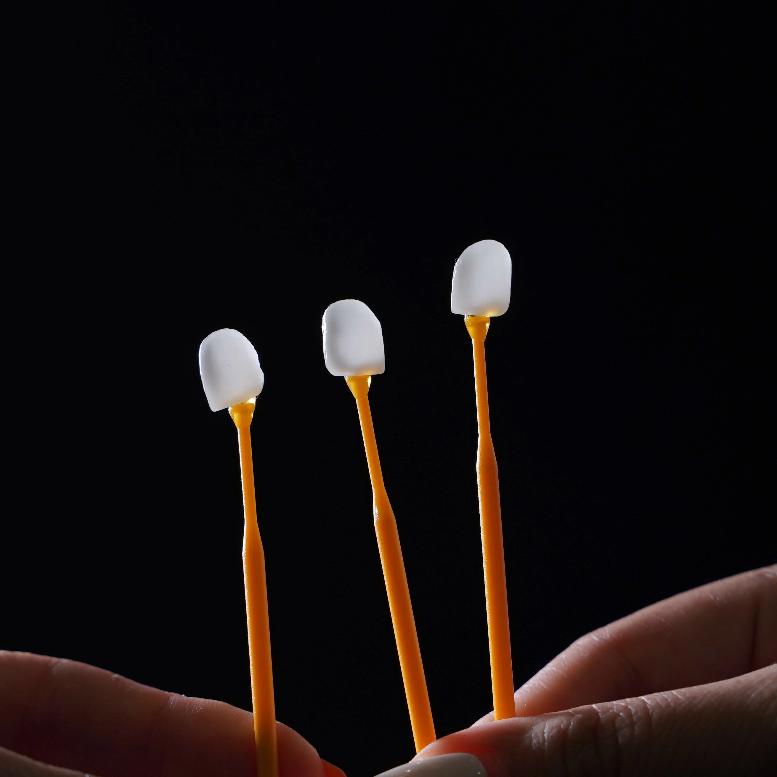 Nha khoa thẩm mỹ Jet Dentist: Mặt dán sứ Veneer Lisi Press