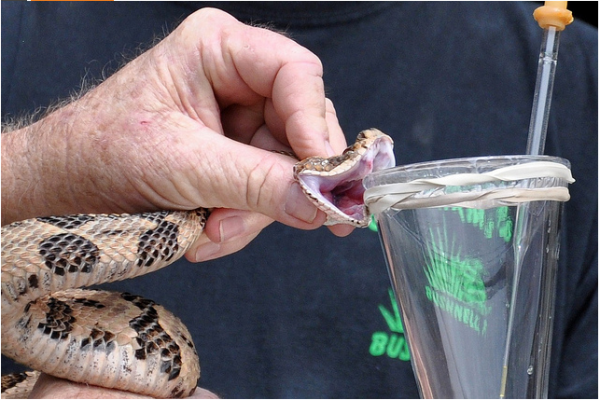 10 công việc nguy hiểm nhất hành tinh, chắc phải có thần kinh thép mới dám làm