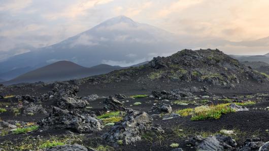 Nga cấp đất miễn phí để phát triển vùng Viễn Đông