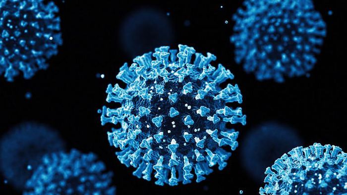 Các chuyên gia Trung Quốc tìm thấy chủng virus Corona mới