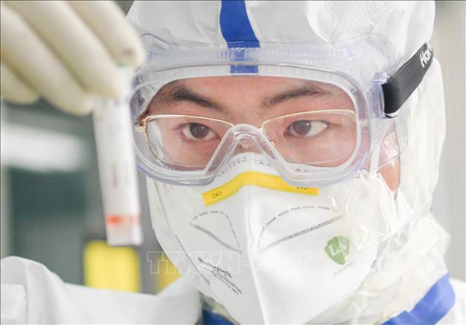 Các nhà khoa học tìm ra điểm yếu của virus SARS-CoV-2