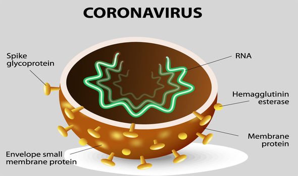 Viện virus học Vũ Hán liên quan đến 1 nhà khoa học Trung Quốc bị điều tra