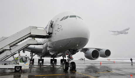 Các bác sĩ tìm cúm gia cầm tại sân bay Vladivostok