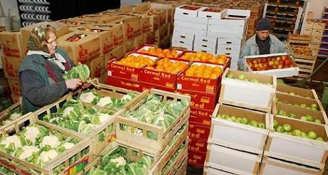 Châu Âu họp khẩn vì đòn trả đũa của Nga