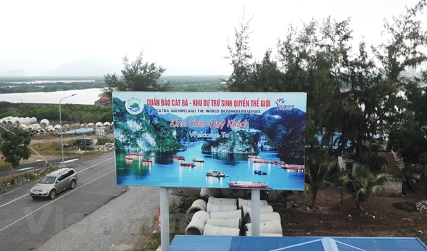 Tiếng kêu cứu của chim trời Cát Bà: Nỗi đau ai thấu?