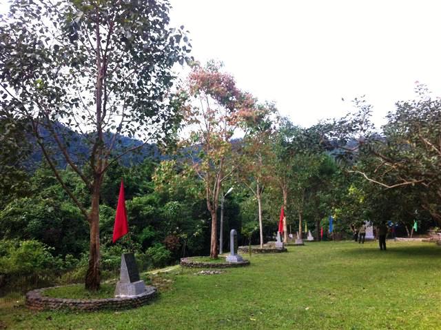 Sự trùng hợp kỳ lạ của cây bồ đề Đại tướng Võ Nguyên Giáp tại Yên Tử