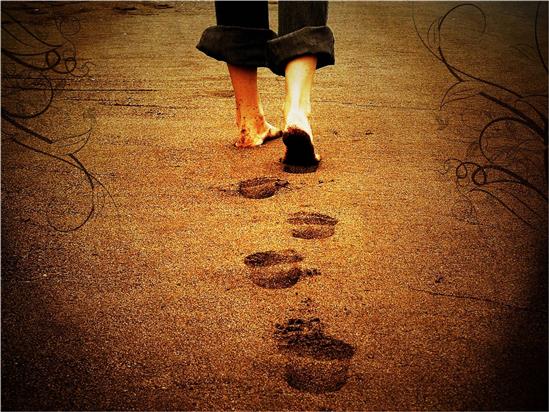 Nỗ lực cả một đời, rốt cuộc là vì điều gì?