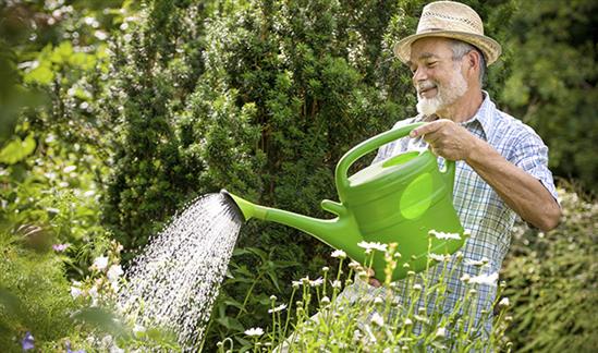 Điều cần thiết là sự chân thành, không cần hoa ngôn xảo ngữ