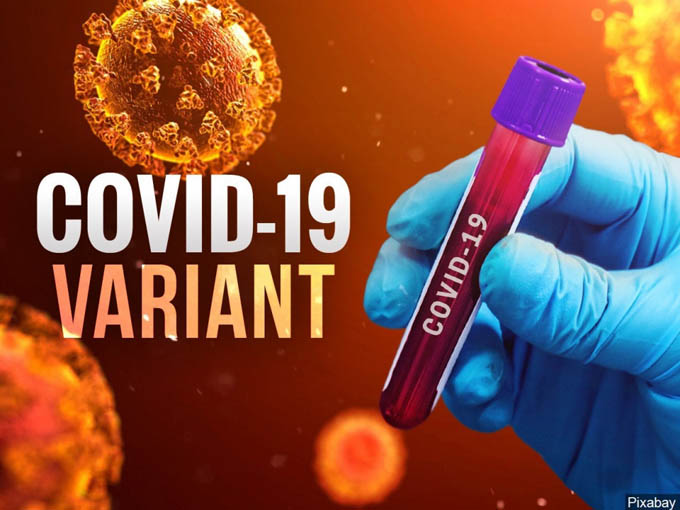Covid-19: WHO khẳng định Việt Nam không xuất hiện biến thể lai tạo nào mới