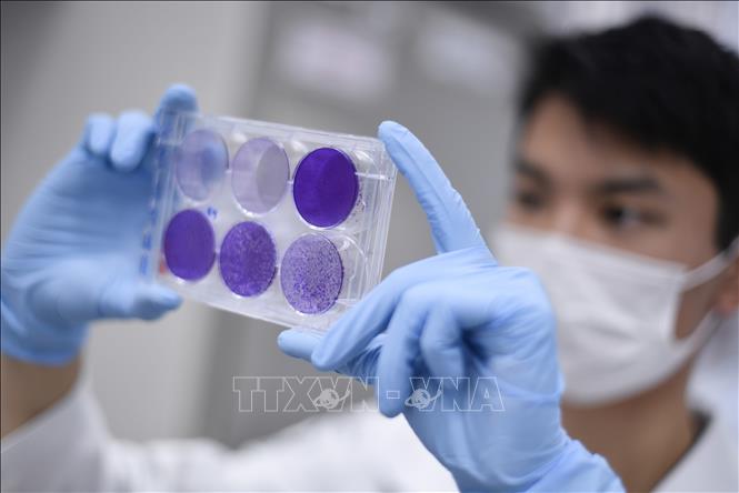 WHO: Các nước nghèo nhất thế giới có thể tiếp nhận vaccine từ cuối tháng 1/2021