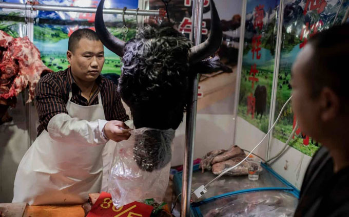 Bất chấp Covid-19, TQ khó dẹp thị trường động vật hoang dã 74 tỷ USD