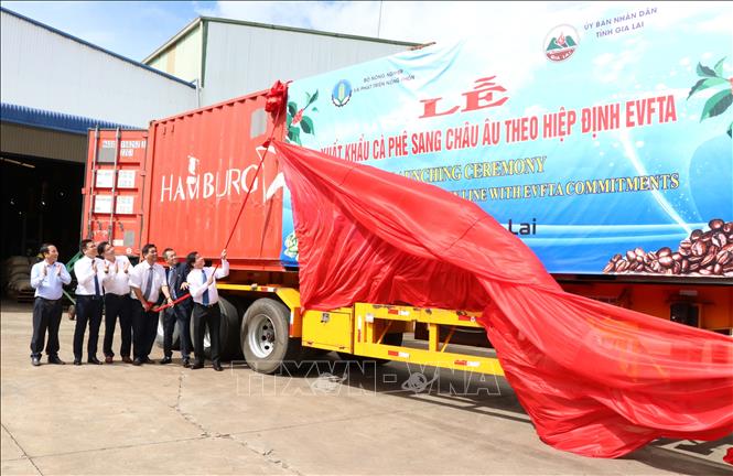Chuyên gia Nga: Thành công của Việt Nam có thể coi là 'hiện tượng' của năm 2020