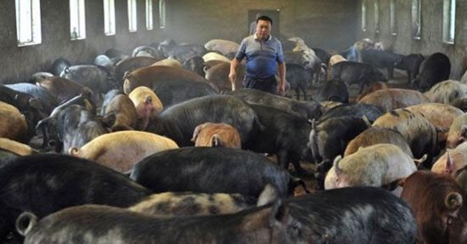 Báo Nga “tố” Trung Quốc bành trướng “săn” đất nông nghiệp khắp hành tinh
